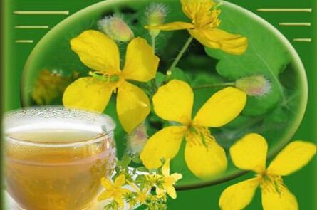 decoction of celandine herb for mushrooms