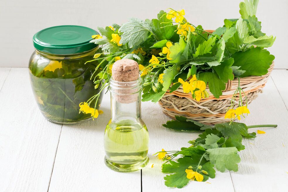 Infusion, oil and freshly cut celandine for toenail fungus
