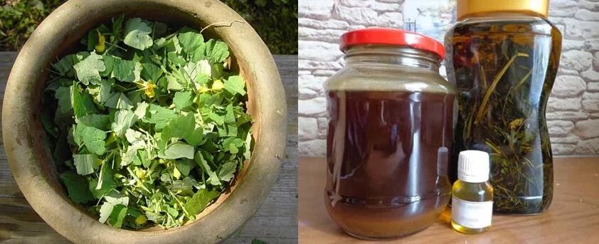 Preparation of healing celandine juice for further use in the fight against toenail fungus.